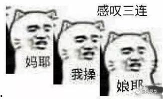 我不接盘你急啥,你为何如此焦急?揭秘背后的心理动机 第2张 我不接盘你急啥,你为何如此焦急?揭秘背后的心理动机 第2张